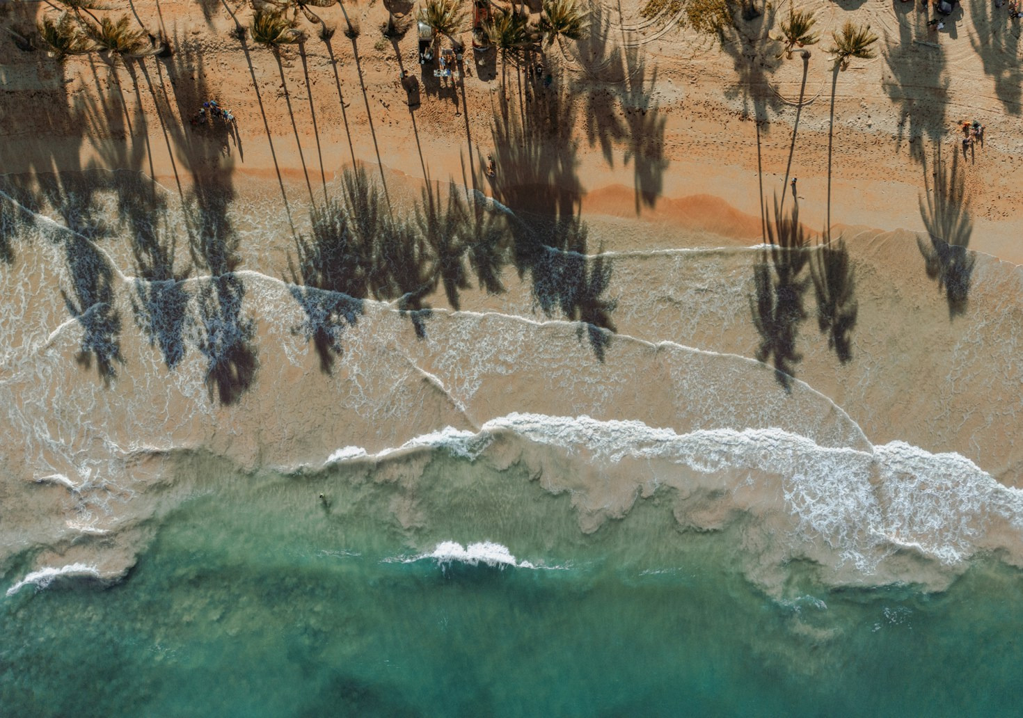 10 Must-Know Facts About Dominican Culture