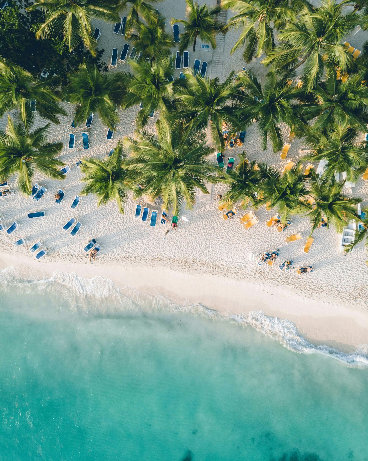 A Journey Through Dominican Art and Craft
