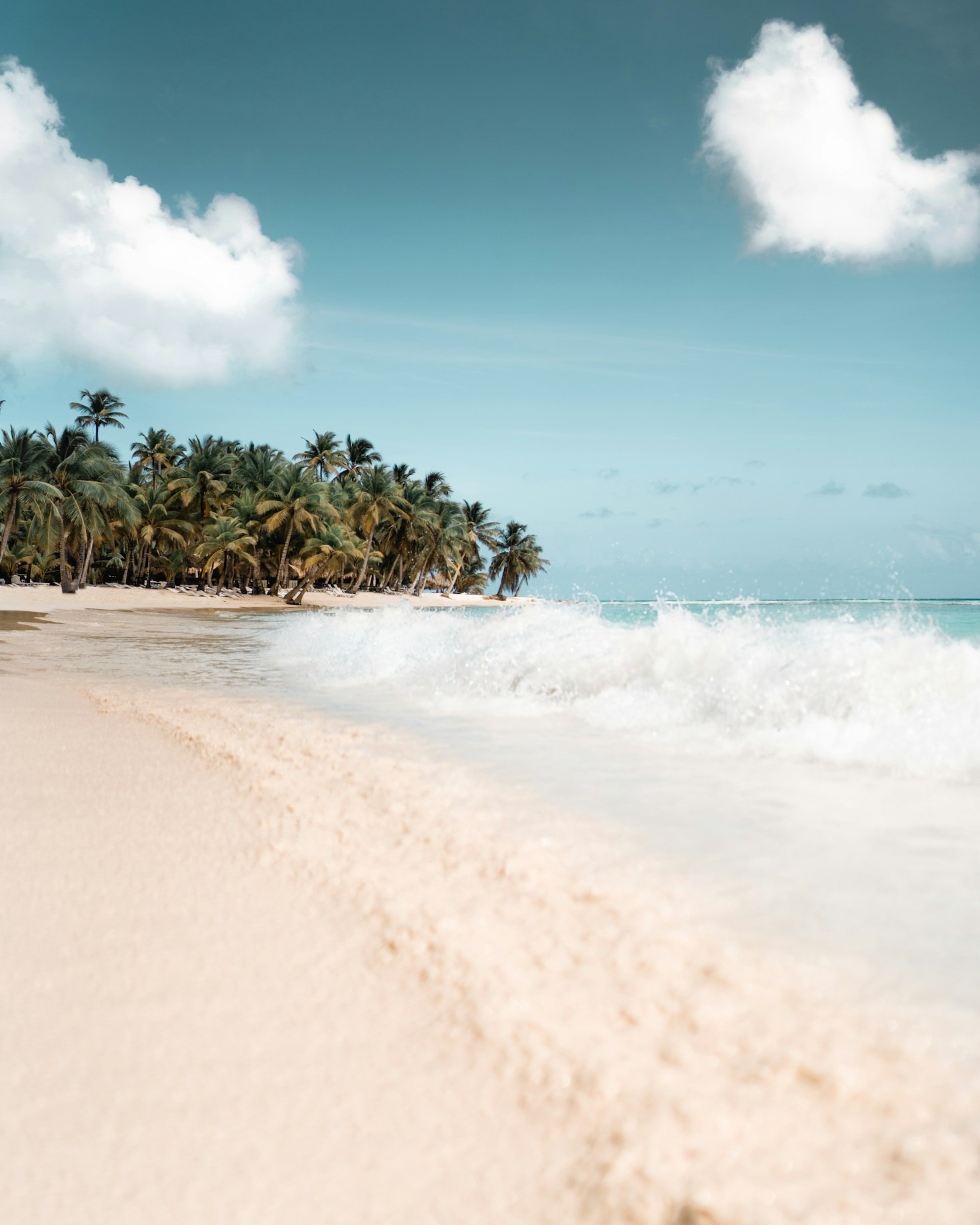 Exploring Music and Dance of the Dominican Republic